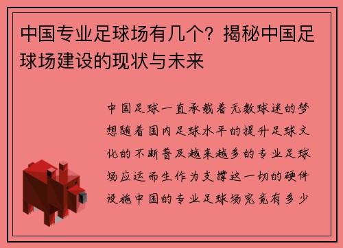 中国专业足球场有几个？揭秘中国足球场建设的现状与未来